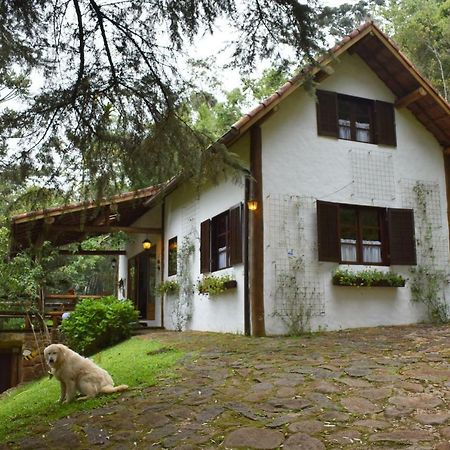 Chalet Da Hortensias Villa Cunha Exterior foto