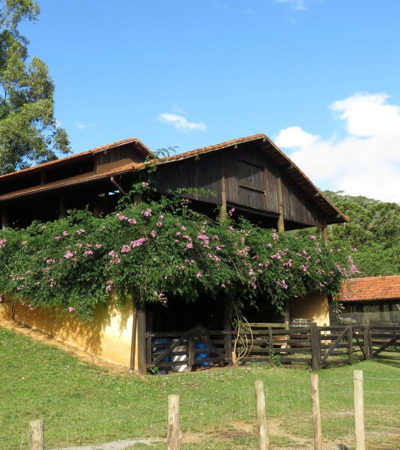 Chalet Da Hortensias Villa Cunha Exterior foto
